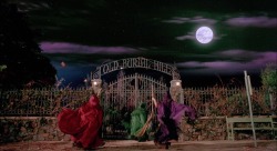 freddiecowann:   Favorite Halloween Movies - Hocus Pocus (1993)  Sisters, All Hallow’s Eve has become a night of frolic, where children wear costumes and run amok!  