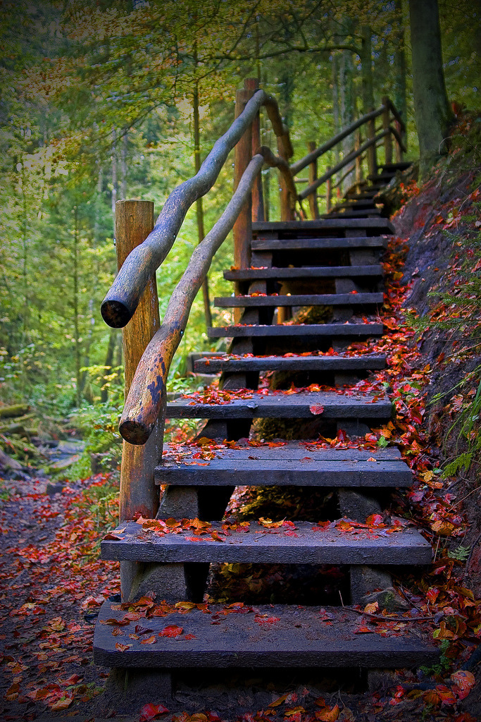 mistymorningme:  There are times when life calls out for a change by Evelyn Arthur