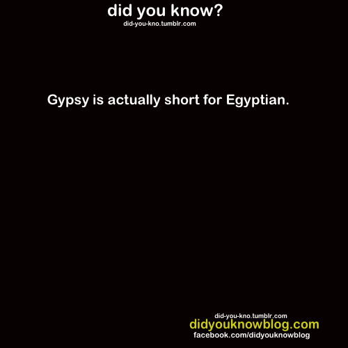 fuckyourracism:  did-you-kno:  Source  No.  The term “gypsy” is actually a non-preferred