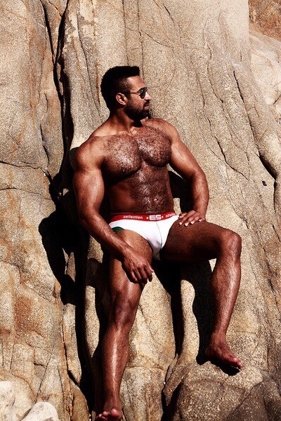 bonerriffic:  Furry muscle daddy 
