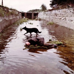 anarqa:Stalker (1979) dir. Andrei Tarkovsky 