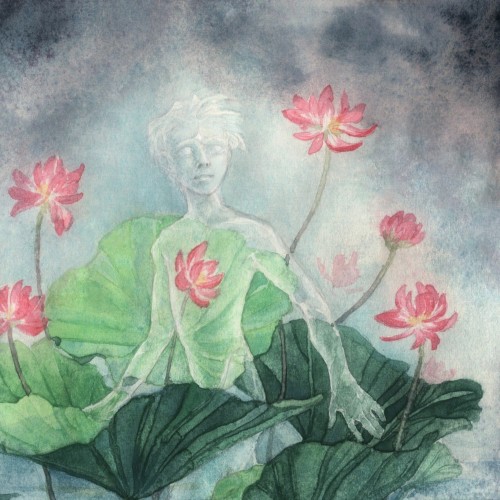 🪷 Lost In Lotus 🪷 
