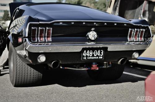 Muscle Cars Fans