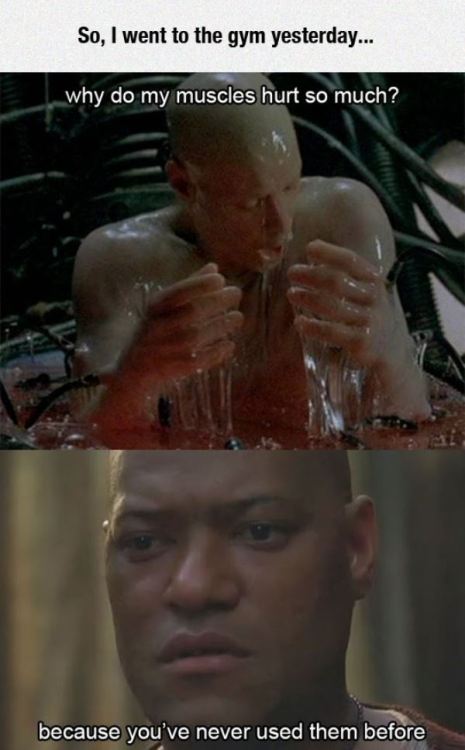 AHHHHHHHHHHHHHHHHHHHAHAHAHAHAHAHAHAHAHA!  XD