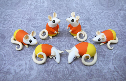 amischiefofmice:  dragonsandbeasties:  #sculptober : Candy.  Candy corn rats! :D  THEY”RE SO CUTE I”M GOING TO DIE lil sciences p much  