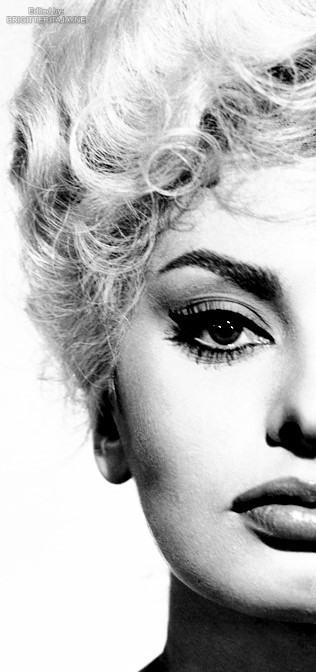 brigitteritajayne: Faces: Brigitte Bardot, Elizabeth Taylor, Jayne Mansfield, Ann Miller, Jeanne Cra