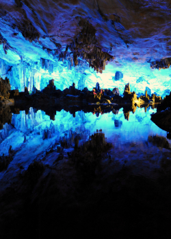 oecologia:  Reed Flute Cave Colors (Guilin,