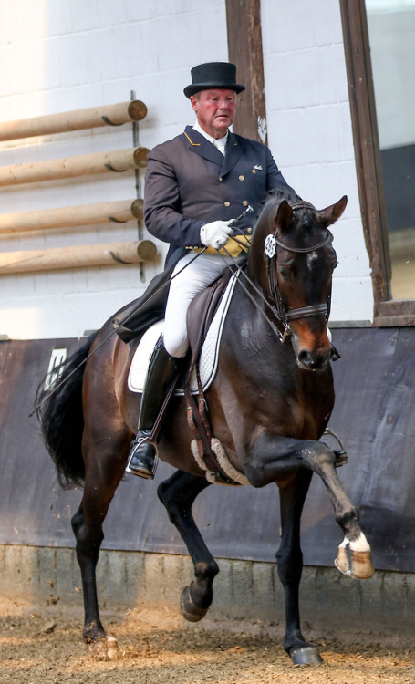 wrinkleshop:glueckimsattel:Cristoph Kleimeyer, Dressage Instructor Looks like a great fucker