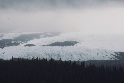 kristenwatso:  Kenai Fjords National Park