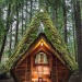cottagelf:The diamond cabin of the Pacific Northwest