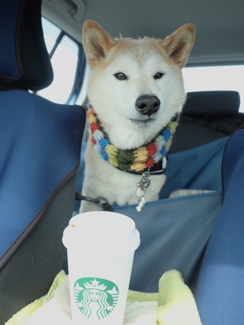 That&rsquo;s my Coffee!