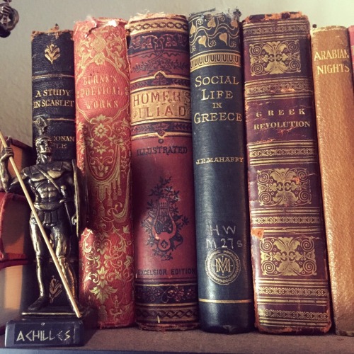 macrolit:onemorepageturner:A peek at some of my old booksUgh. That Iliad, though…