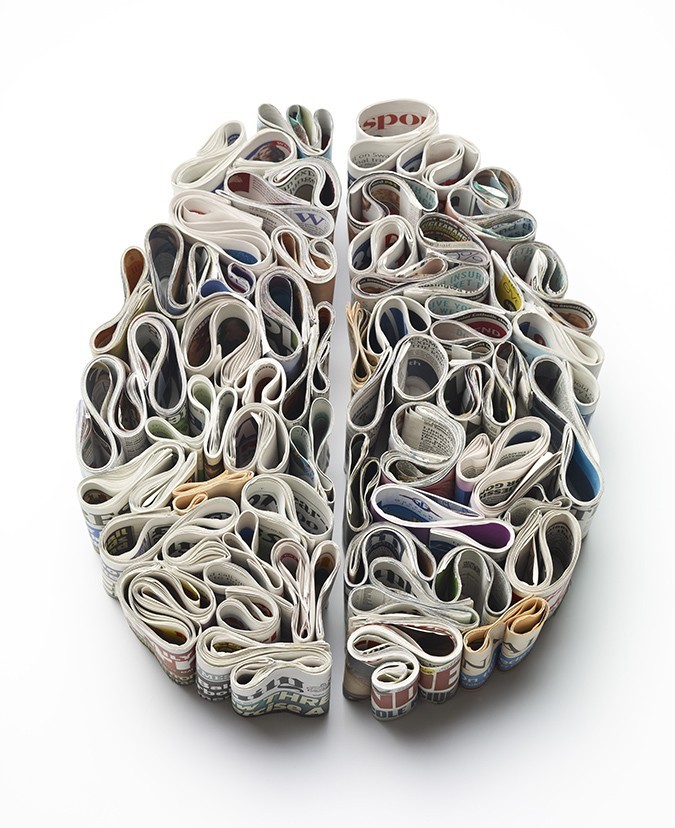fer1972:  Brains Made of Newspapers, Food and Toothpaste by Kyle Bean 