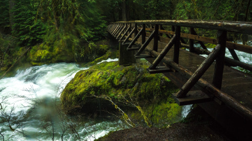 favorite kind of hike? the one that ends in natural hot springs.say no more.Bagby Hot Springs