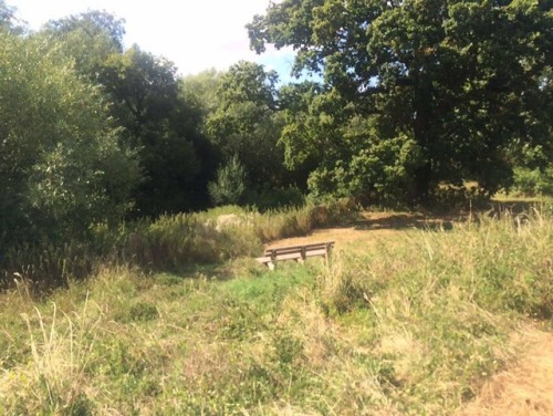 adirtylittlething: The cute field bench I fucked myself on. I used my deodorant because sadly I don’t have proper toys but I seem to manage without them, a lot of random objects have given my cunt a visit. I took videos but i deleted them, I mightt