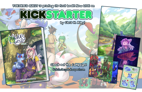 clefdesoll: Hey guys!!  I just launched my very first Kickstarter campaign to get the first book on 
