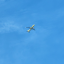 laura652
