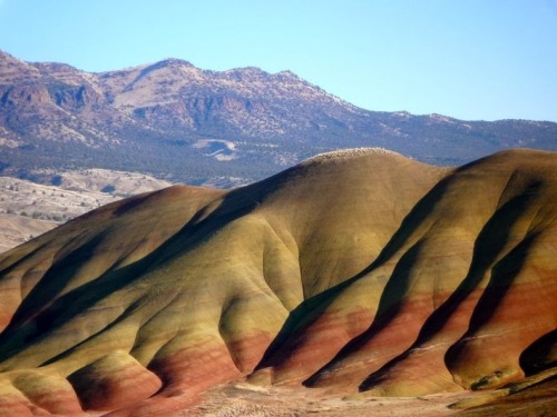 fancyadance:Painted Hills is one of the three units that make up the John Day Fossil Beds National M