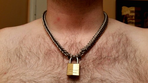 mastersfido:  coopthepup:  Hope everyone had a very MERRY CHRISTMAS! *RUFF I must’ve been a good boy cause master gave me this new handmade chain and lock collar from mrsleather ! I will wear it proudly! *wags  WOof, Coop,  Merry Christmas Wow, beautiful