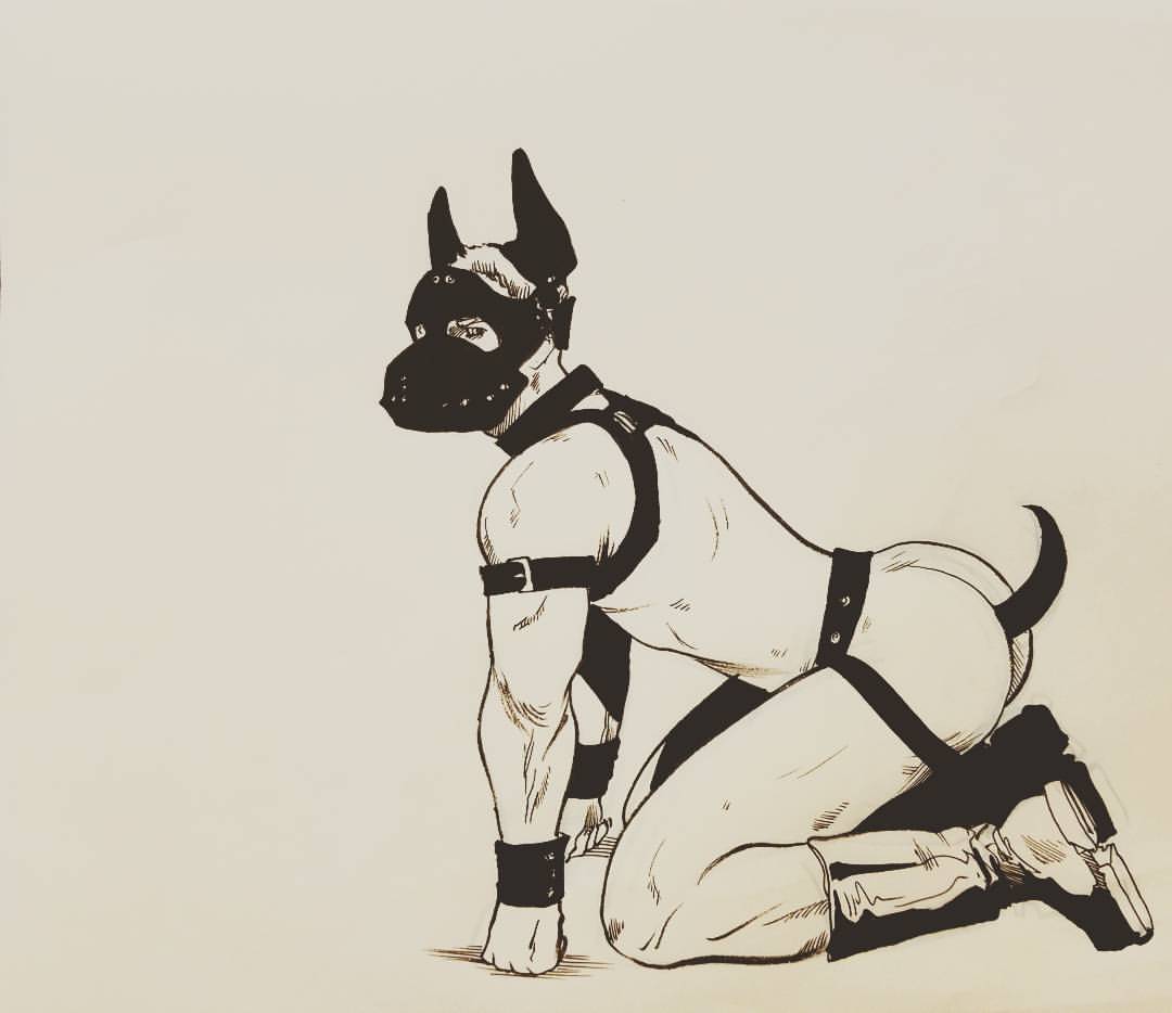 zacharyiswackary:  #nationaldogday Sorry I had to. 
