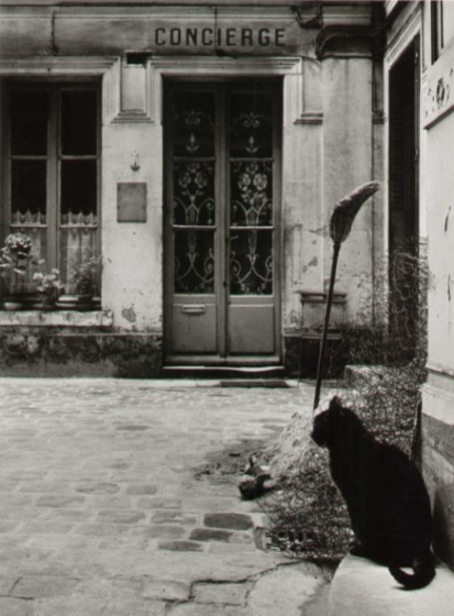 poboh:  The Cat of the caretaker,Janine Niépce. (1921 - 2007) 
