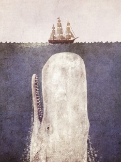 1000Drawings:  The Whale  By Terry Fan  