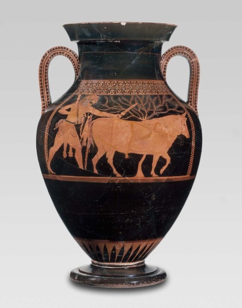 ancientanimalart:Two-handled jar (amphora) with Herakles driving a bull to sacrificeGreekArchaic Per