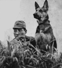 hellyeahk9s:  Japanese soldier and his working