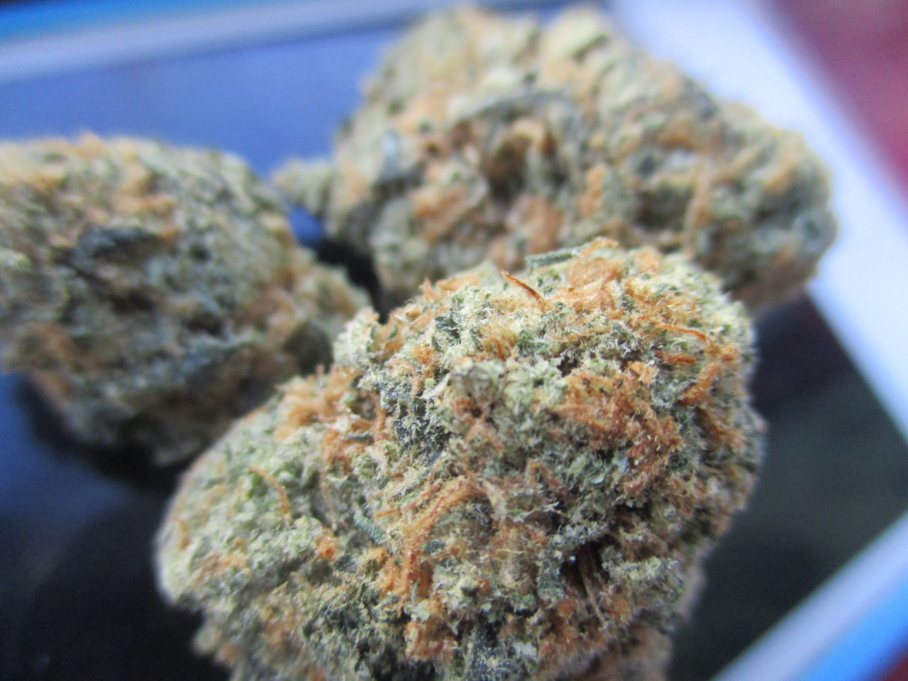 chloechronic:  Orange Cookies 🍊🍪 