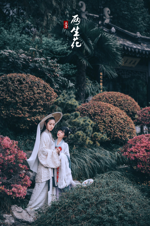 Artistic conception photography: 两生花, twin flowers. Traditional Chinese hanfu. Photo by 疯子