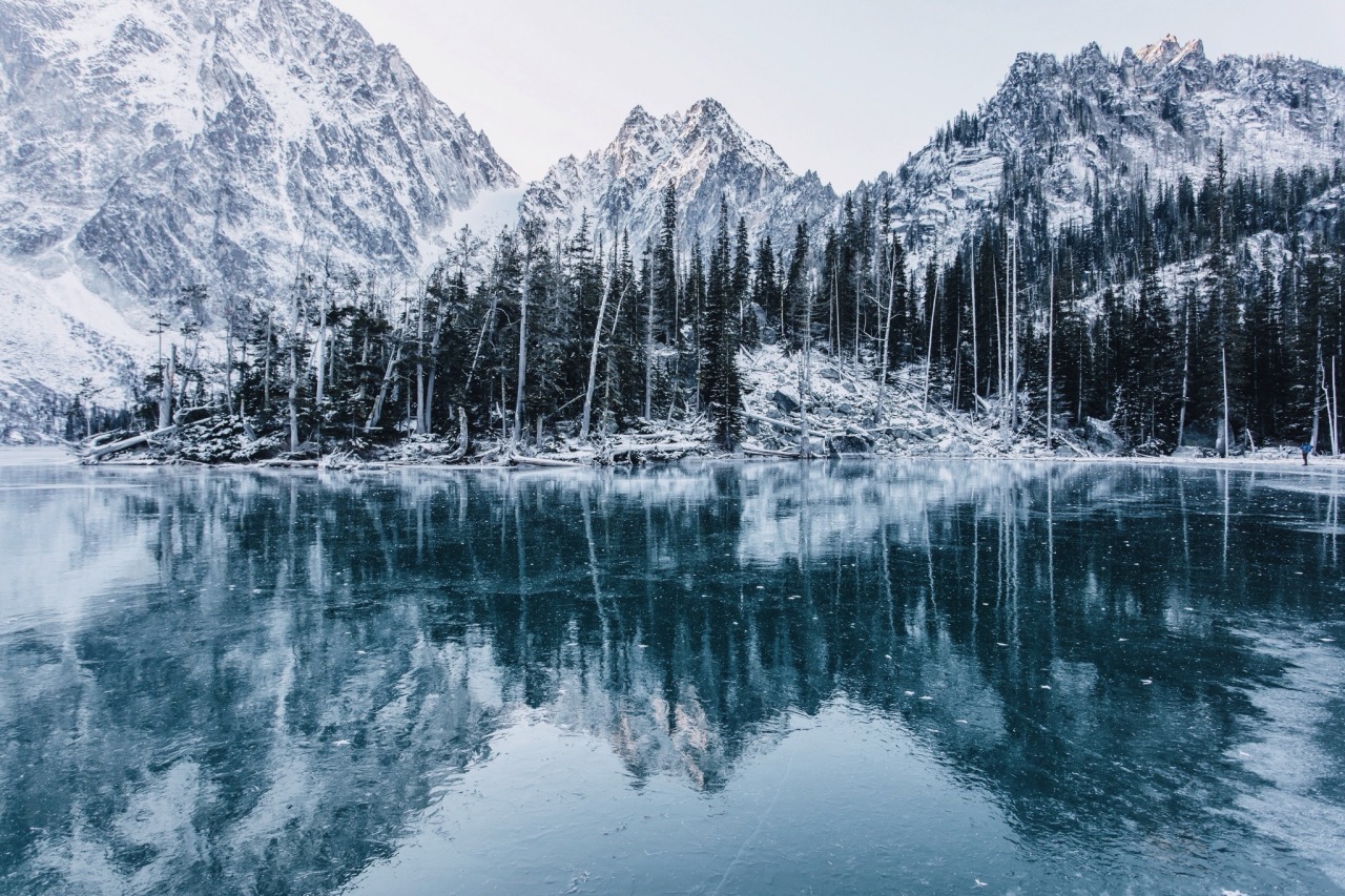 danielodowd:  Griffin Lamb