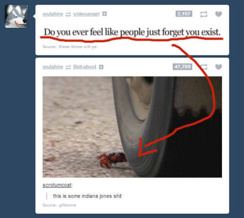 kawaiihimegimi:  So this just happened on my dash. Poor little crab~ <3