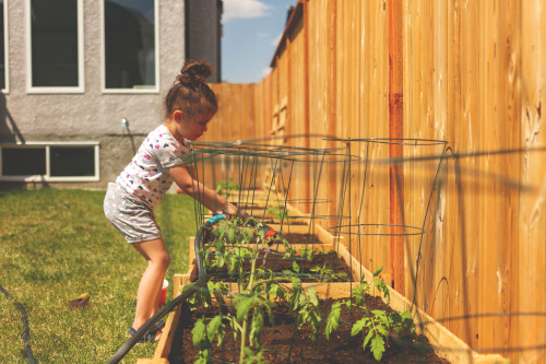 New beds are built and plants have gone in.  It was a productive May long weekend.