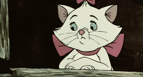 saltyconch:  At the end of every exhausting work week, I always think, “Woo! It’s