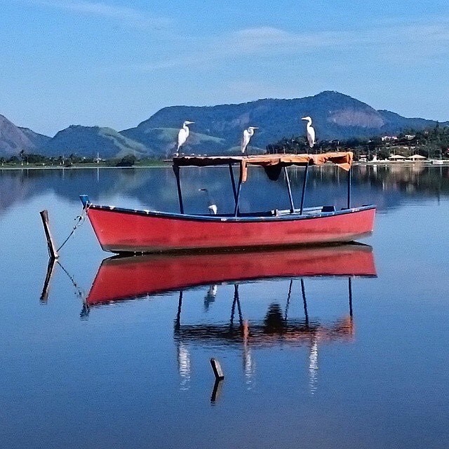 Lagoa de Maricá por @rentenal . ✨🔝✨ Siga @MaricaTOP 🔸 O @RioInterior apoia a rede @RiodeJaneiroTOP 🔸
. .
#LagoadeMarica, #Maricá, #Marica, #RiodeJaneiro, #RiodeJaneiroTOP, #Brasil, #RJ, #IgersRio, #IgersBrasil, #IG_RiodeJaneiro_, #IG_Brazil_,...