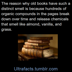pizzaismylifepizzaisking:beeva95:ultrafacts:  Source If you want more facts, follow Ultrafacts  Mmmm book smell  i love this smell
