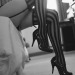 kittykatts-world: