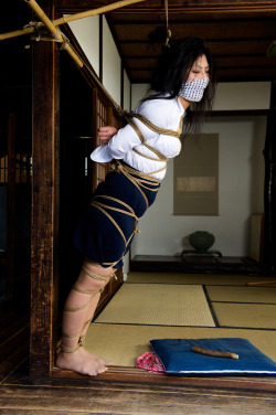 The Art Of Kinbaku