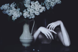 emmanuellefanny:  To feel how flowers die…