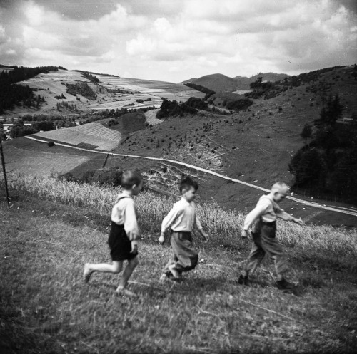 lamus-dworski: Eustachy Kossakowski: Pieniny (region in southern Poland), 1960.Source: artmuseum.pl