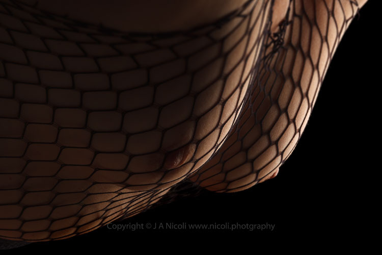 nicoli:  Desnudo en red © 2014 J A Nicoli 