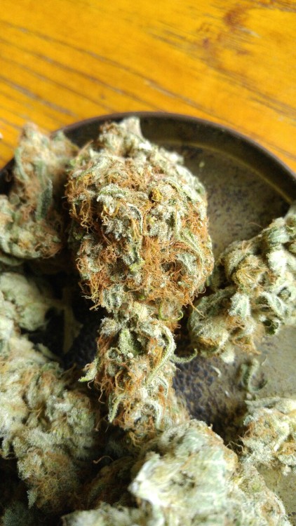 weed-breath:  Grape God