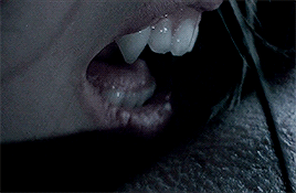 tumblr_pgkd8sEILf1tlo4hwo6_400.gif