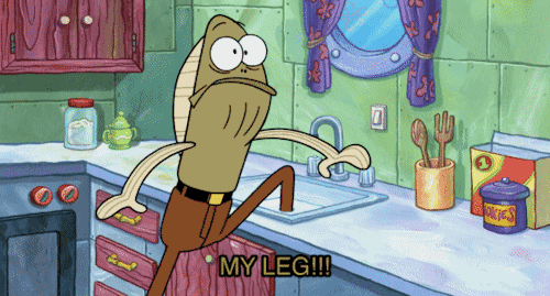 “My Leg!” (gifset 2 / 2)