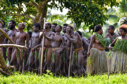 Polychelles:  Pentecost Island, Vanuatu By Chris Taylor 