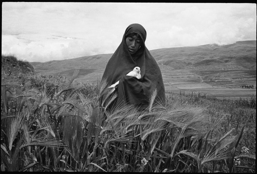 2000-lightyearsfromhome: Nun holding released dove - Sichuan, 2007 © Yang Yankang