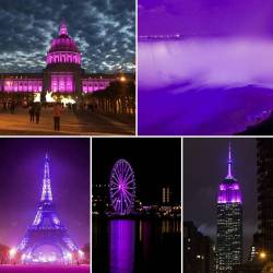 kimberlykrautter:  Purple Reigns Around the