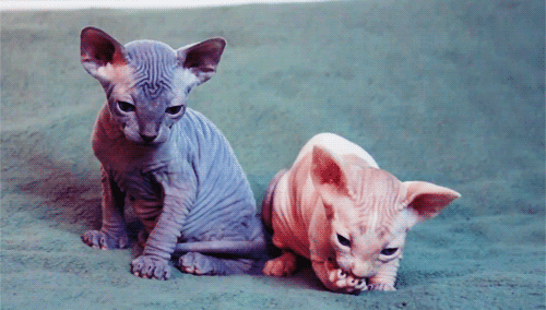 danyrage:  * w * | via Tumblr en We Heart It. http://weheartit.com/entry/93395798?utm_campaign=share&utm_medium=image_share&utm_source=tumblr 