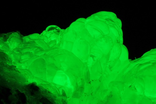 arockmaniac: Hyalite opal (Opal-AN) from Zacatecas, Mexico under white light and short wave ultravio