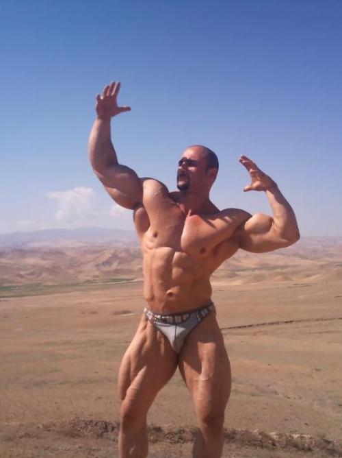 Mounds of muscles - let your eyes wander - WOOF